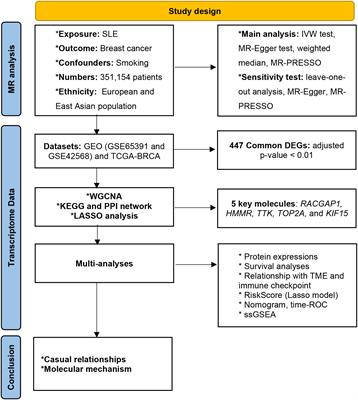 Exploring the causality and pathogenesis of systemic lupus erythematosus in breast cancer based on Mendelian randomization and transcriptome data analyses